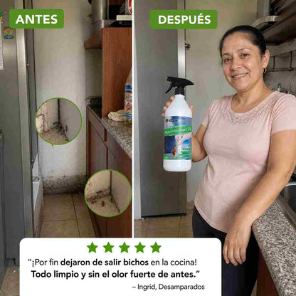 Bye Bye Bichos — Insecticida Concentrado 1 L