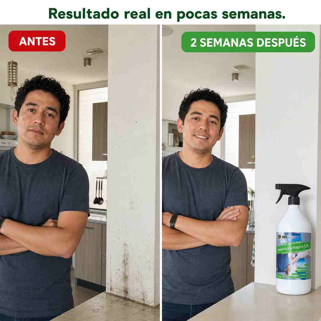 Bye Bye Bichos — Insecticida Concentrado 1 L
