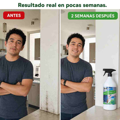 Bye Bye Bichos — Insecticida Concentrado 1 L
